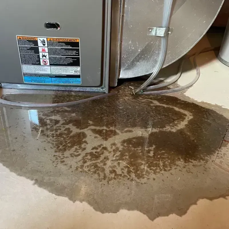 Appliance Leak Cleanup in Hart County, GA